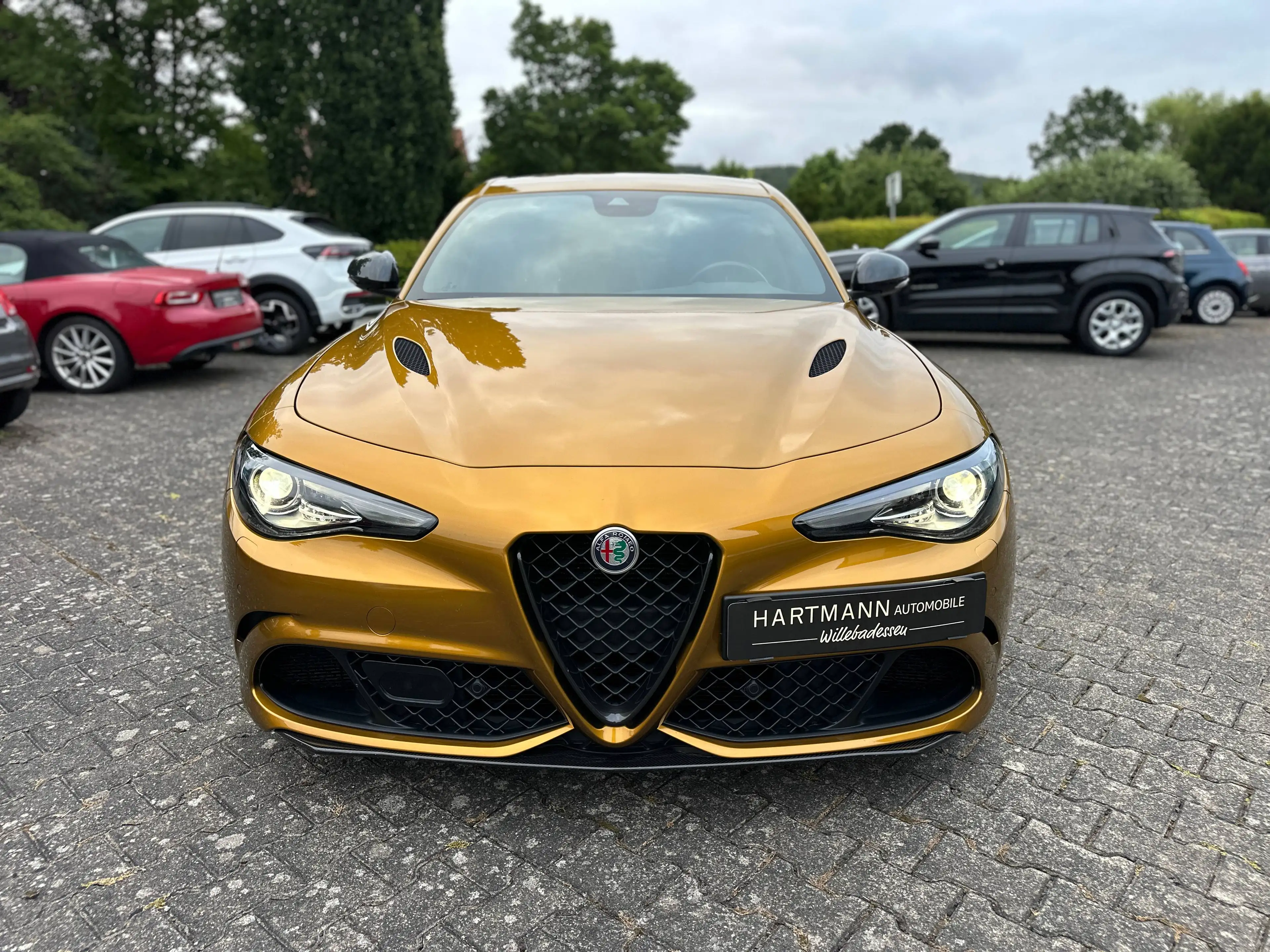 Alfa Romeo Giulia Quadrifoglio 510PS OCRA LIPARI — photo 8