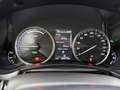 Lexus NX 300h AWD Luxury Line | Leer | Stoelverwarming | Elektri Gris - thumbnail 6