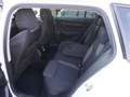 Skoda Octavia Combi 2,0 TDI Ambition *2023er+VIRTUAL+NAVI* Weiß - thumbnail 12