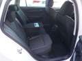Skoda Octavia Combi 2,0 TDI Ambition *2023er+VIRTUAL+NAVI* Weiß - thumbnail 13