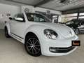 Volkswagen Maggiolino Cabrio 1.2 TSI Blanc - thumbnail 6