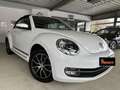 Volkswagen Maggiolino Cabrio 1.2 TSI Blanc - thumbnail 7