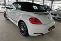 Volkswagen Maggiolino Cabrio 1.2 TSI Blanc - thumbnail 10