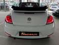 Volkswagen Maggiolino Cabrio 1.2 TSI Blanc - thumbnail 13