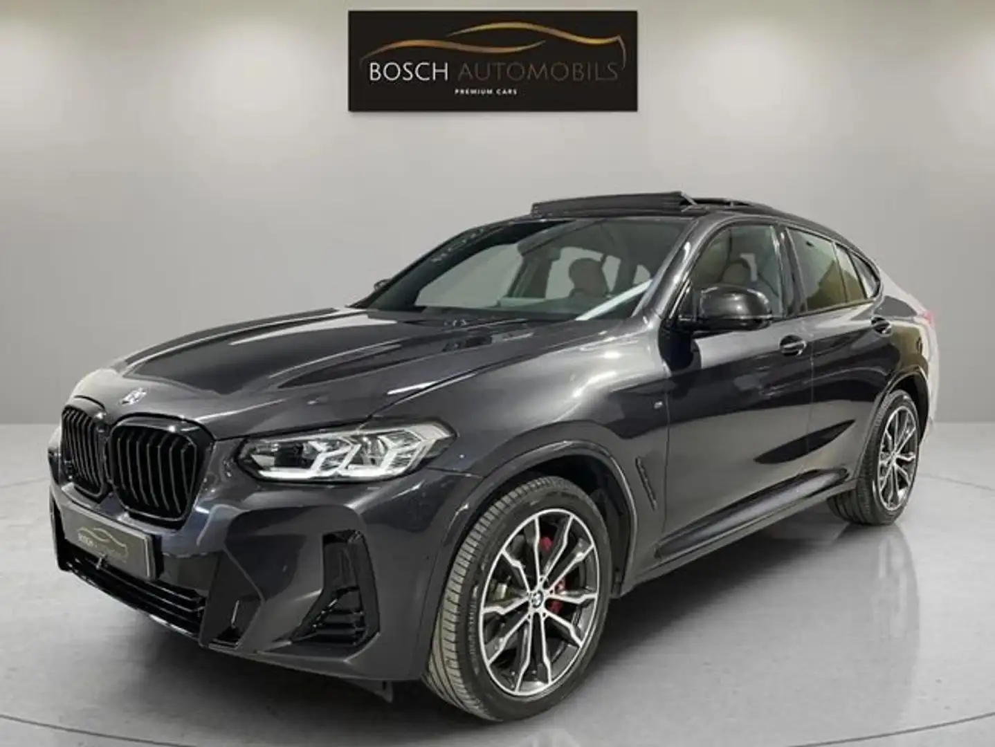 BMW X4 30d xDrive 286cv M Sport Gris - 2