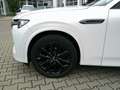 Mazda CX-60 e-SKYACTIV-D 254 Homura PANO/AHK/BOSE/LEDER Weiß - thumbnail 19
