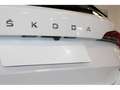 Skoda Kamiq 1.0 TSI Ambition 70kW Blanc - thumbnail 7