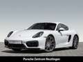 Porsche Cayman GTS Tempomat 2-Zonen Klima 1-Hand 56800km Blanco - thumbnail 1