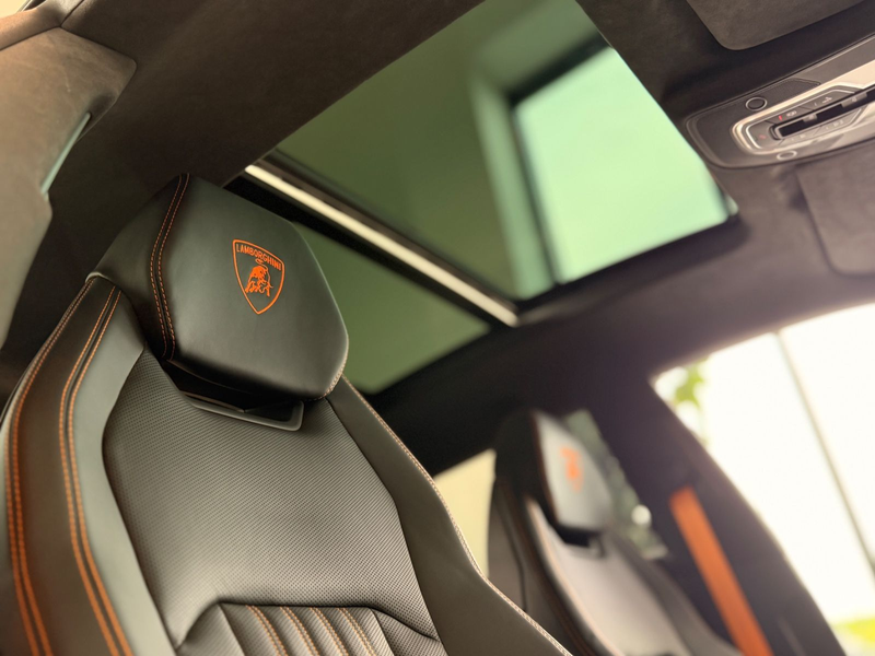 Lamborghini Urus SE 4.0 V8 PHEV B&O Pano PPF Matt — photo 14