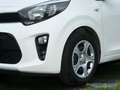 Kia Picanto 1.0 VISION Navi 8-fach-bereift Blanc - thumbnail 9