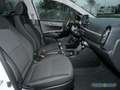 Kia Picanto 1.0 VISION Navi 8-fach-bereift Blanc - thumbnail 4