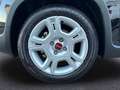 Fiat Panda 1.0 Gse Hybrid Negro - thumbnail 12