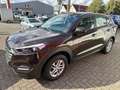 Hyundai TUCSON blue Classic 2WD/KLIMA/GJR/LMF/BLUETOOTH Brun - thumbnail 2