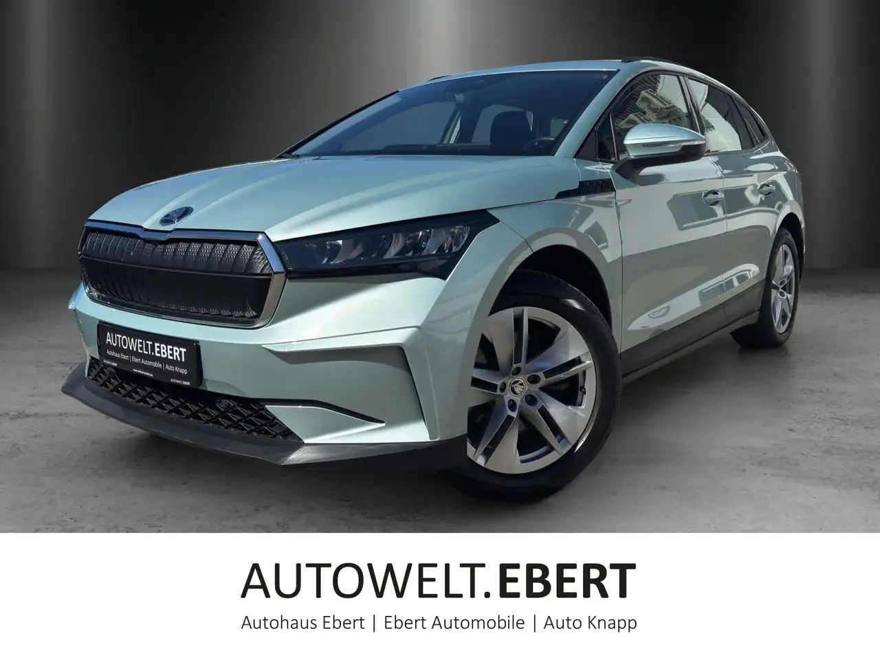 Skoda Enyaq iV 60 Loft/ACC/LED/SHZ/NAVI/