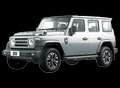 EMC 212 2.0 TDI 8AT 4WD inseribile con ridotte Silber - thumbnail 1