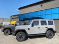 EMC 212 2.0 TDI 8AT 4WD inseribile con ridotte Silber - thumbnail 2