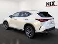 Lexus NX 450h+ E-FOUR Business KAMERA Blanc - thumbnail 2