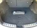 Lexus NX 450h+ E-FOUR Business KAMERA Blanc - thumbnail 10
