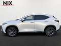 Lexus NX 450h+ E-FOUR Business KAMERA Blanc - thumbnail 3