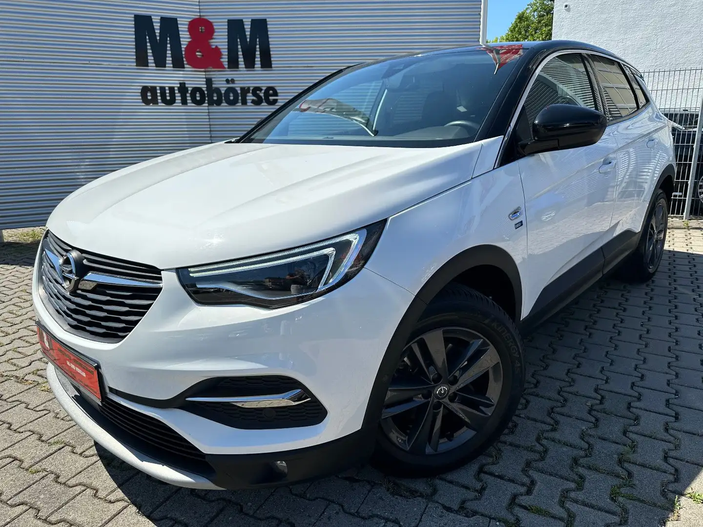 Opel Grandland X Grandland Opel 2020 Nav/Kamera/Tempo/Shz/Assiste Wit - 1