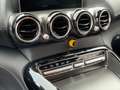 Mercedes-Benz AMG GT AMG GT-R COUPE, NIGHT-PAKET, CARBON srebrna - thumbnail 14