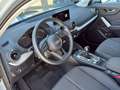 Audi Q2 35 TFSI advanced Grau - thumbnail 10