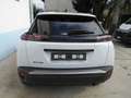Peugeot 2008 100 Allure b Fin 9Perfet Sc39% Bianco - thumbnail 9