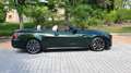 BMW 430 430iA Cabrio Verde - thumbnail 30