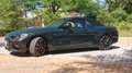 BMW 430 430iA Cabrio Verde - thumbnail 16