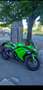 Kawasaki Ninja 300 Groen - thumbnail 6