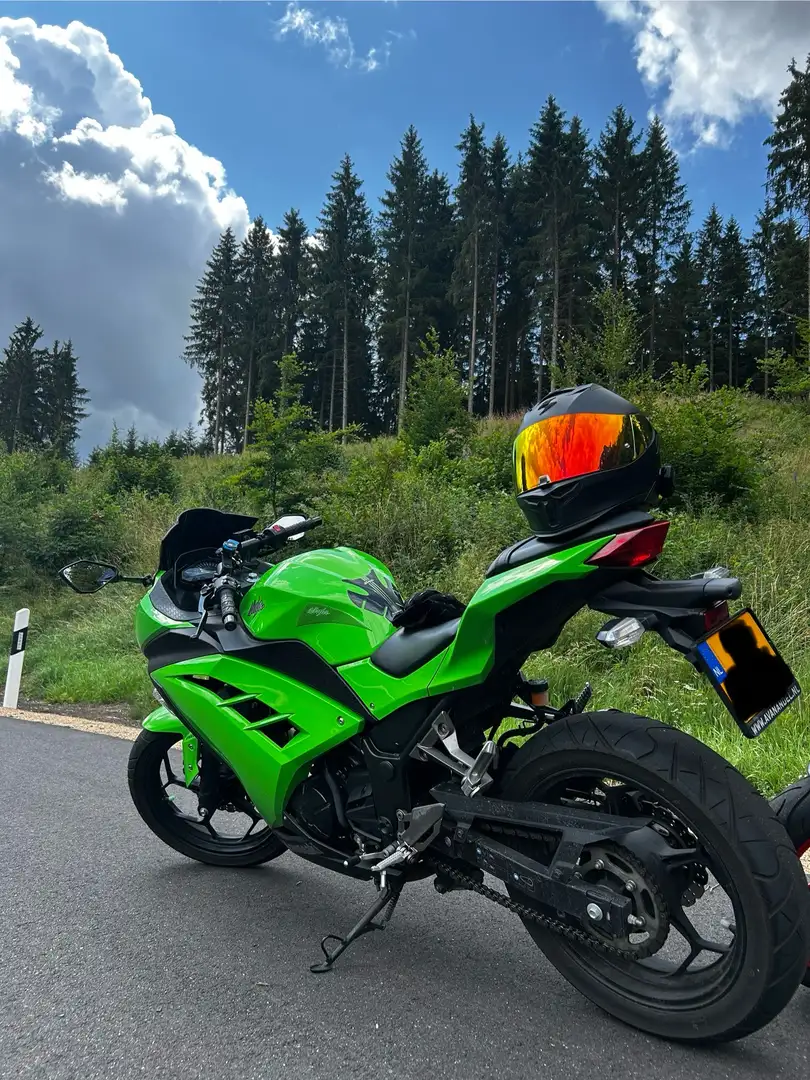 Kawasaki Ninja 300 Groen - 1