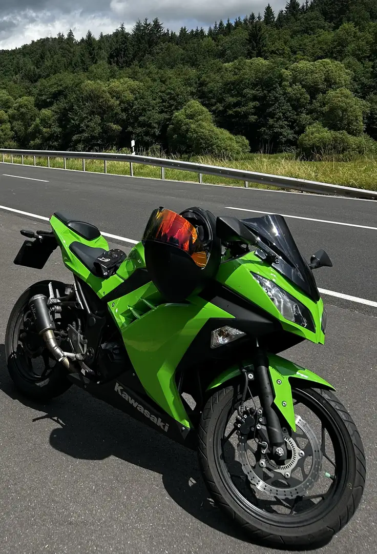 Kawasaki Ninja 300 Groen - 2