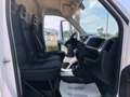 Fiat Ducato FURGONE 2.3 MJ 33 T.M-P.MEDIO NAVI Bianco - thumbnail 11
