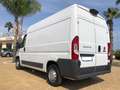 Fiat Ducato FURGONE 2.3 MJ 33 T.M-P.MEDIO NAVI Bianco - thumbnail 6