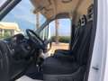Fiat Ducato FURGONE 2.3 MJ 33 T.M-P.MEDIO NAVI Bianco - thumbnail 10