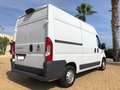 Fiat Ducato FURGONE 2.3 MJ 33 T.M-P.MEDIO NAVI Bianco - thumbnail 8