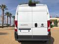 Fiat Ducato FURGONE 2.3 MJ 33 T.M-P.MEDIO NAVI Bianco - thumbnail 7