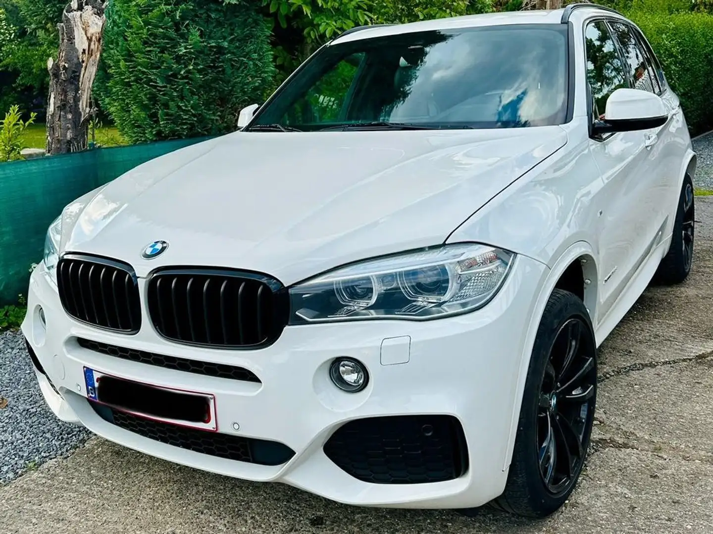 BMW X5 X5 2.0 XDrive25d + Pack M Sport + Automatique Blanc - 1
