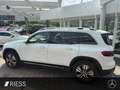 Mercedes-Benz GLB 200 Progressive 7 Sitzer W-Paket Ambi Kamera Weiß - thumbnail 7