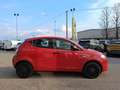 Lancia Ypsilon 1.2 Elefantino Blu s&s 69cv my19 Rot - thumbnail 7