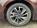 Lexus CT 200h Privilege Line+cam+sensoeren v Brązowy - thumbnail 9