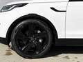 Land Rover Discovery D300 Dynamic HSE Weiß - thumbnail 9