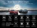 Mercedes-Benz C 200 T Avantgarde+LED+Navi+360°+Pano+Tempomat Blanco - thumbnail 18