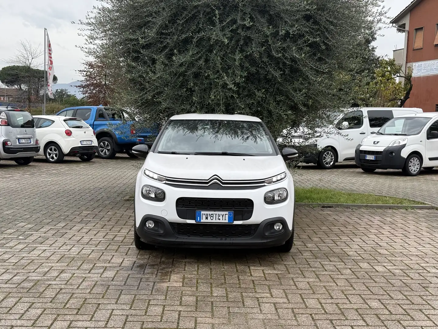 Citroen C3 1.5 bluehdi Feel Bianco - 2