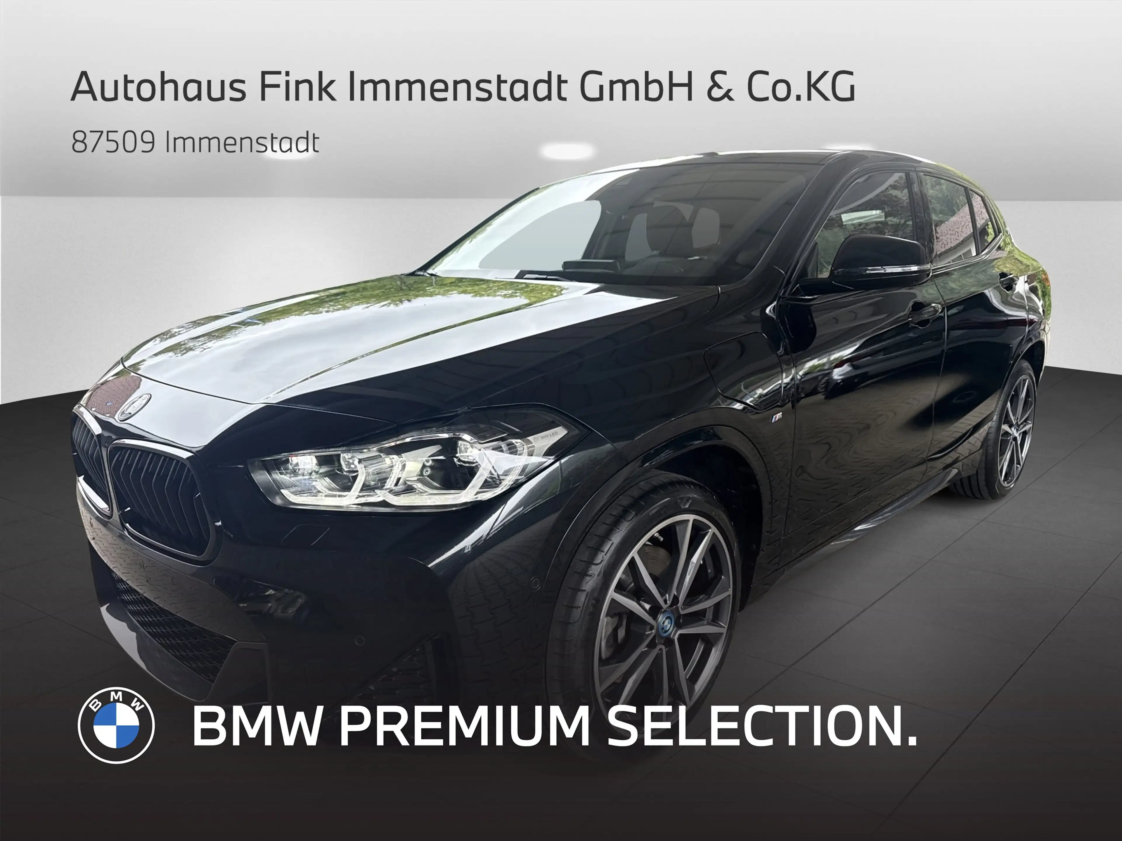 BMW X2 xDrive25e M Sport M Sportpaket Head-Up DAB