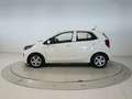 Kia Picanto 1.0 DPi Concept Blanco - thumbnail 2