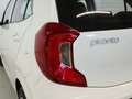 Kia Picanto 1.0 DPi Concept Blanco - thumbnail 12