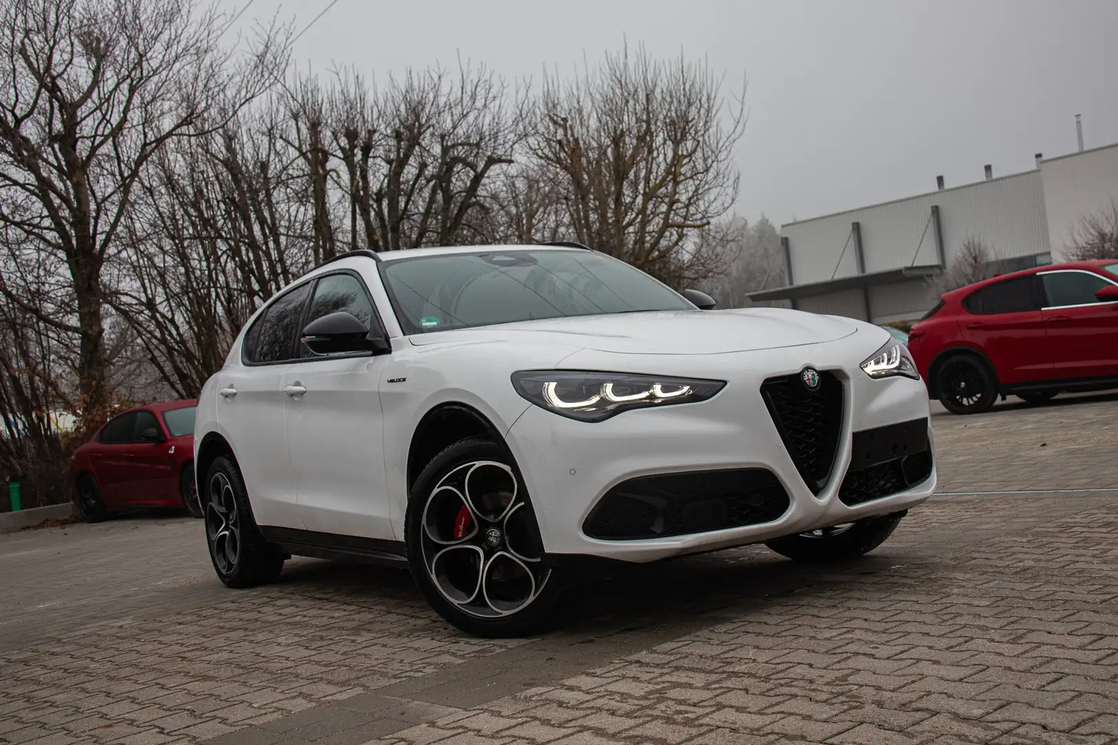 Alfa Romeo Stelvio Veloce 2.2 Q4 AT8 vom AR Vertragshändler Weiß - 1
