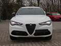 Alfa Romeo Stelvio Veloce 2.2 Q4 AT8 vom AR Vertragshändler Weiß - thumbnail 7