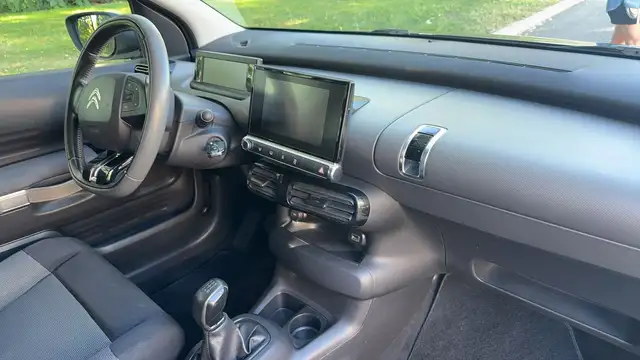 Citroen C4 Cactus view 10